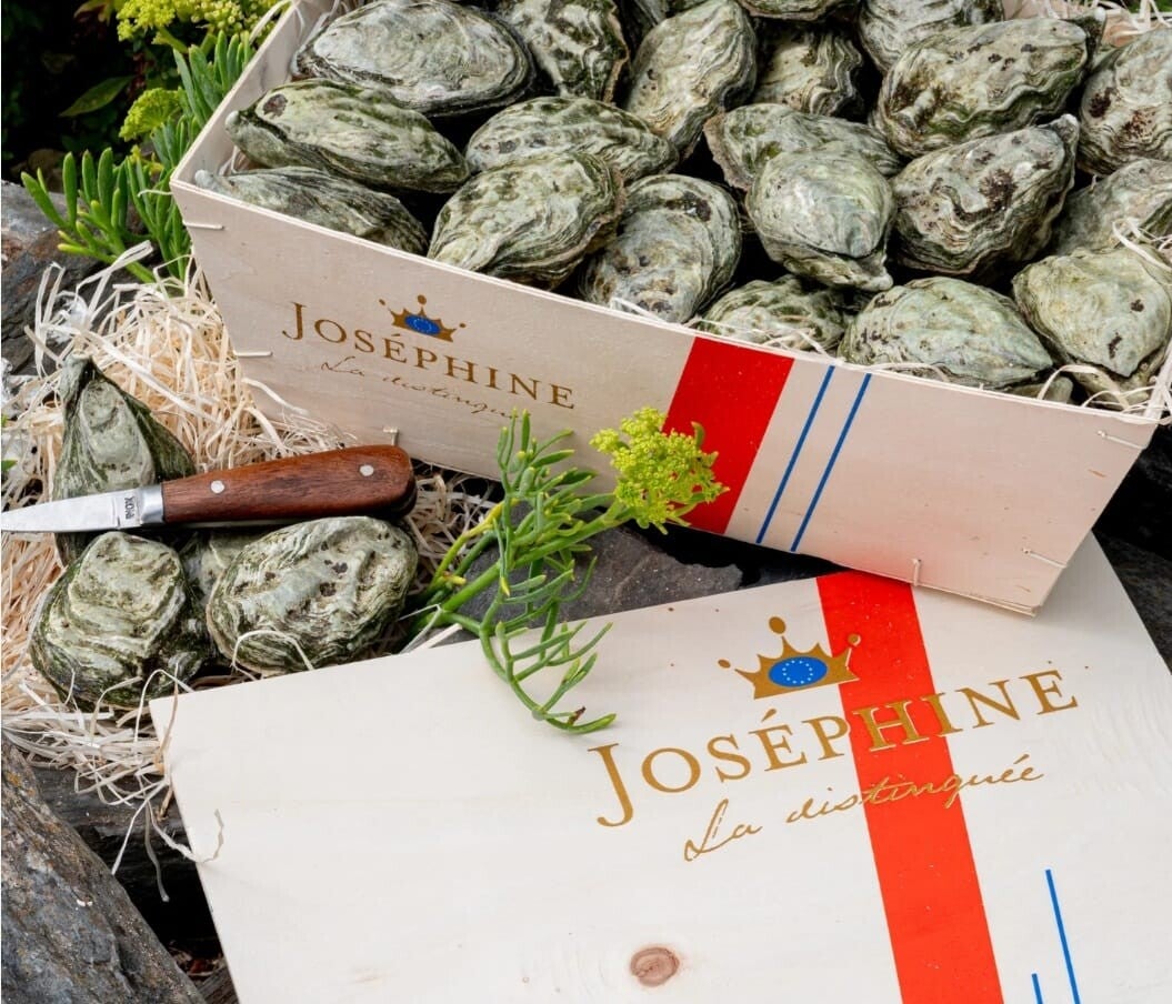Ostra Gillardeau Josephine Nº 2