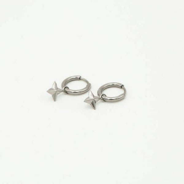 Shine earrings - zilver
