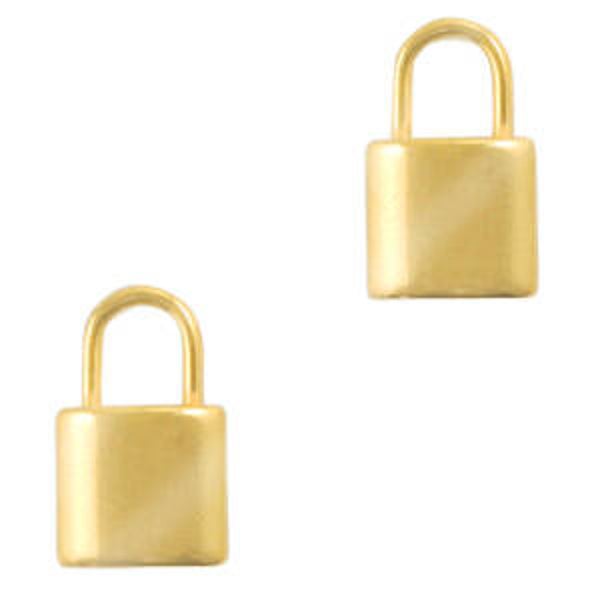 RVS slot bedel groot goud!