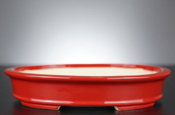 Bonsai Schale Koyo Tokoname Japan 25x20x5