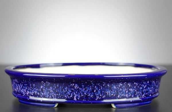 Bonsai Schale Koyo Tokoname Japan 25x20x5