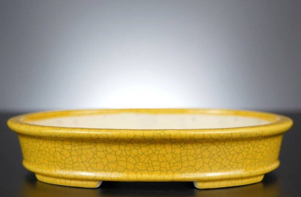 Bonsai Schale Koyo Tokoname Japan 25x20x5