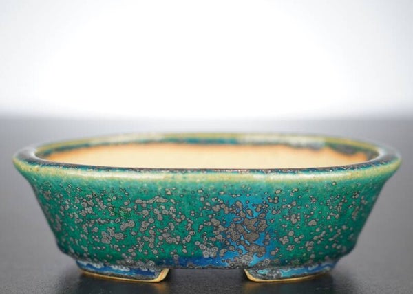 Bonsai Schale Koyo Tokoname Japan 15x12x4,5