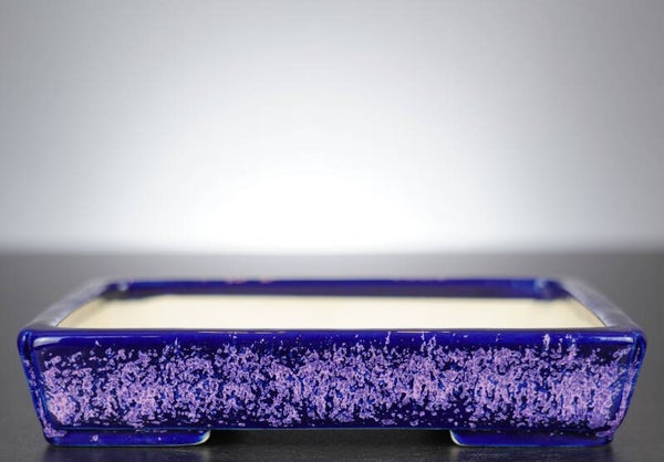 Bonsai Schale Koyo Tokoname Japan 17,5x13x3,5