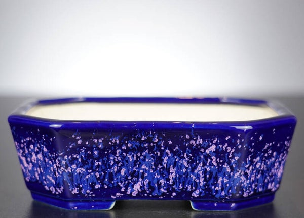 Bonsai Schale Koyo Tokoname Japan 17,5x13,5x5,5