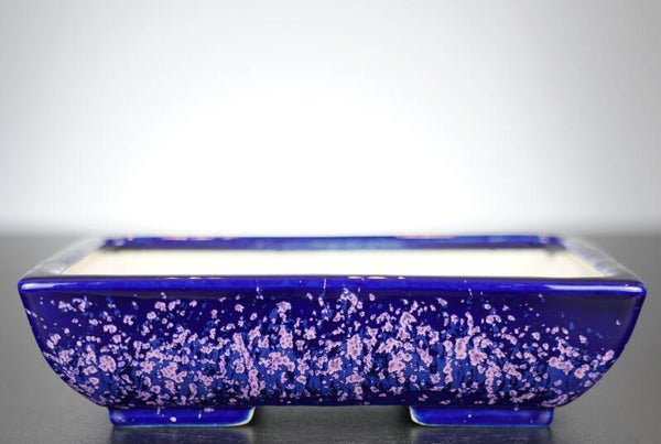 Bonsai Schale Koyo Tokoname Japan 17,5x13,5x4,5