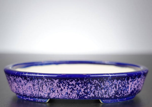 Bonsai Schale Koyo Tokoname Japan 17,5x14,5x3,5