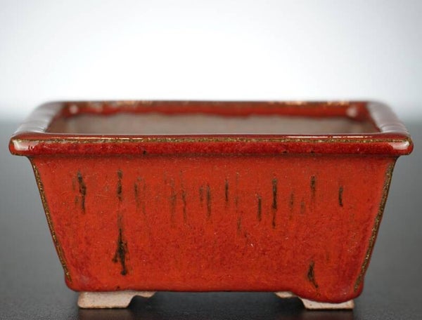 Bonsai Schale Arima Matsuun Tokoname Japan 13,5x11,5x6,5