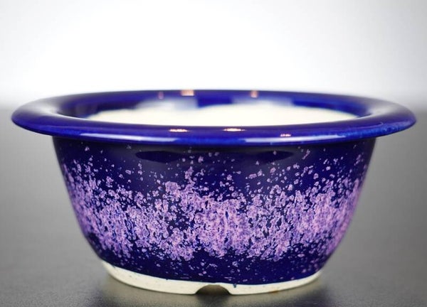 Bonsai Schale Koyo Tokoname Japan 14x14x6