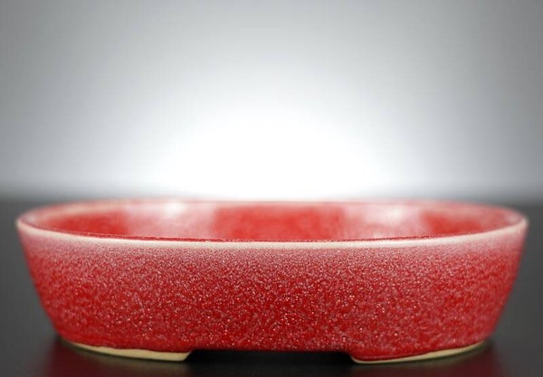 Bonsai Schale J-B Edition 18x15x4