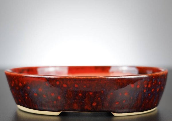 Bonsai Schale J-B Edition 18x15x4