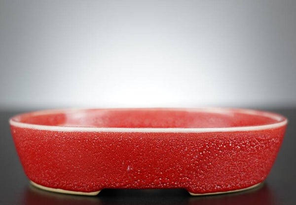 Bonsai Schale J-B Edition 18x14,5x4,5