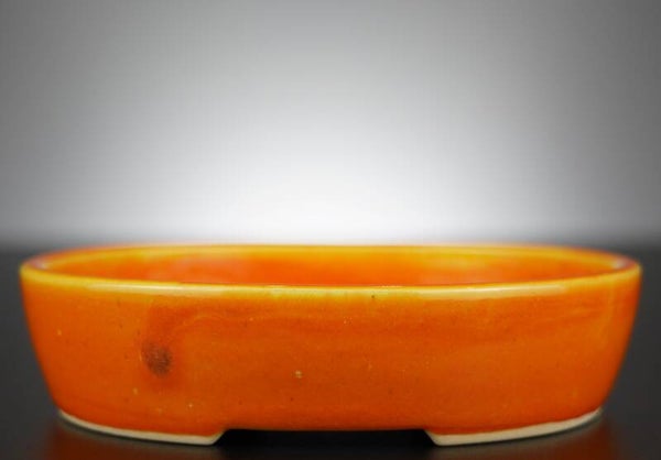 Bonsai Schale J-B Edition 17,5x14x4