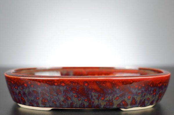 Bonsai Schale J-B Edition 23x18x4,5