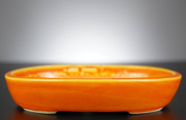 Bonsai Schale J-B Edition 23x17,5x4,5