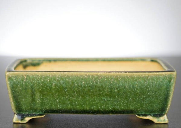 Bonsai Schale Shibakatsu Tokoname 16x12x5