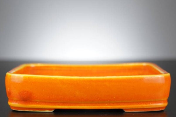 Bonsai Schale J-B Edition 18,5x13,5x4