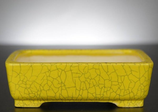 Bonsai Schale Shibakatsu Tokoname 16,5x12,5x5