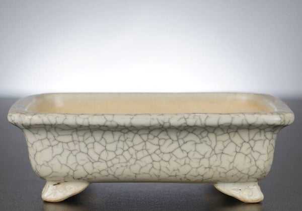 Bonsai Schale Shibakatsu Tokoname 16x13,5x5