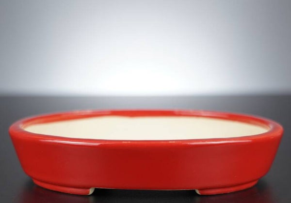 Bonsai Schale Koyo Tokoname Japan 18,5x15x4