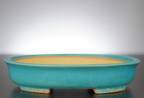 Bonsai Schale Shibakatsu Tokoname 21x18x4,5