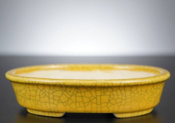 Bonsai Schale Koyo Tokoname Japan 16,5x13,5x3,5