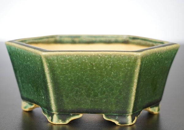 Bonsai Schale Shibakatsu Tokoname 15x15x7