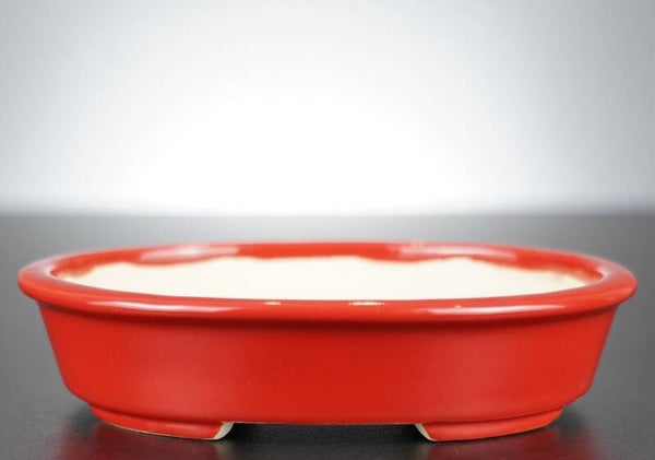 Bonsai Schale Koyo Tokoname Japan 16,5x13,5x3,5