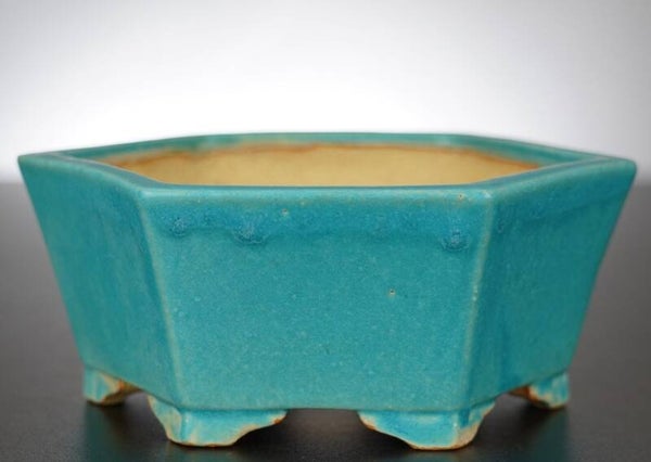 Bonsai Schale Shibakatsu Tokoname 15x15x7