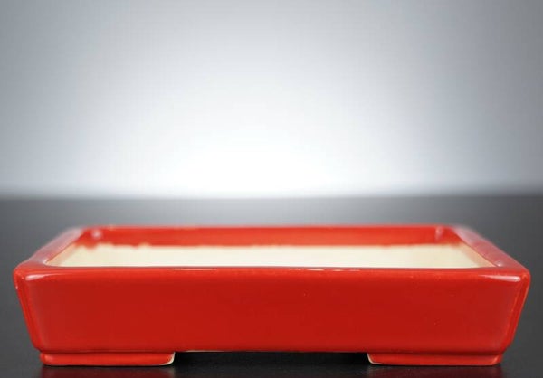 Bonsai Schale Koyo Tokoname Japan 17x13x3,5