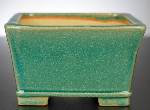 Bonsai Schale Shibakatsu Tokoname 17x17x10