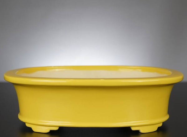 Bonsai Schale Koyo Tokoname Japan 30x24,5x9