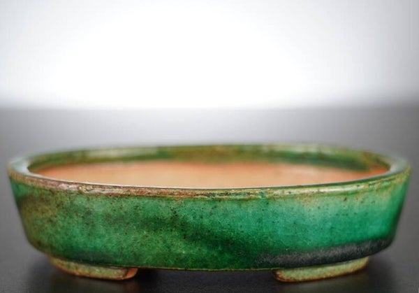 Bonsai Schale Koyo Tokoname Japan 14x11,5x3