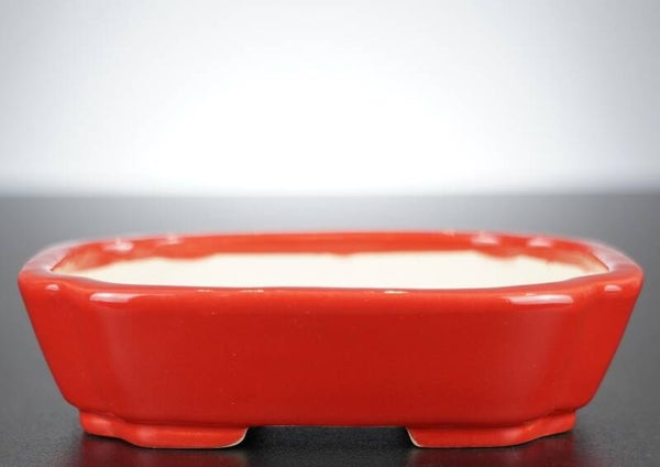 Bonsai Schale Koyo Tokoname Japan 14x11,5x3,5