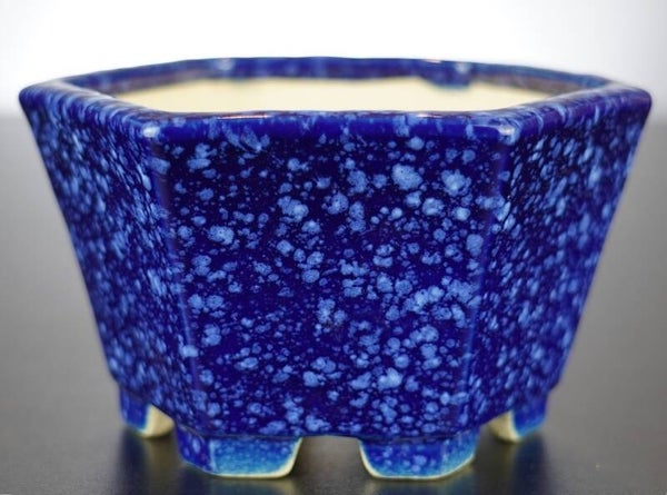 Bonsai Schale Koyo Tokoname Japan 12,5x12,5x8