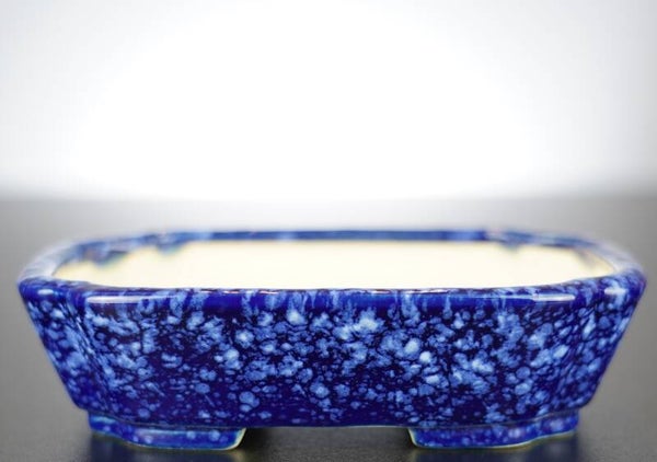 Bonsai Schale Koyo Tokoname Japan 14x11,5x3