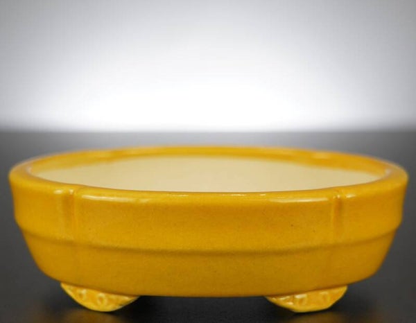 Bonsai Schale Koyo Tokoname Japan 16x14x5