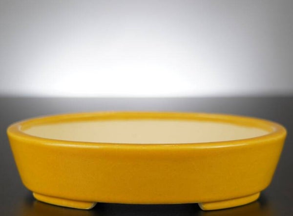 Bonsai Schale Koyo Tokoname Japan 19x15,5x4,5