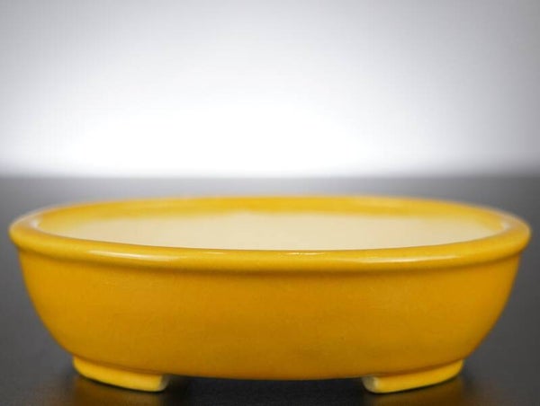 Bonsai Schale Koyo Tokoname Japan 15,5x14x4