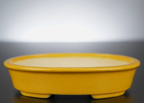 Bonsai Schale Koyo Tokoname Japan 16,5x13x3,5