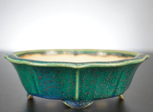 Bonsai Schale Koyo Tokoname Japan 18,5x17,5x6