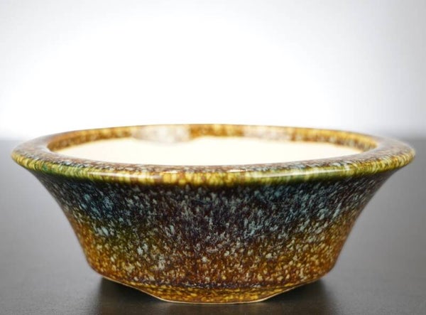 Bonsai Schale Koyo Tokoname Japan 17x17x6