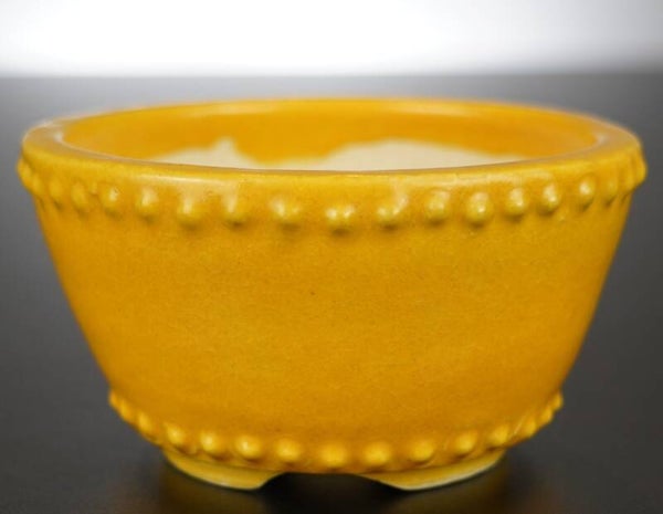 Bonsai Schale Koyo Tokoname Japan 12x12x6,5