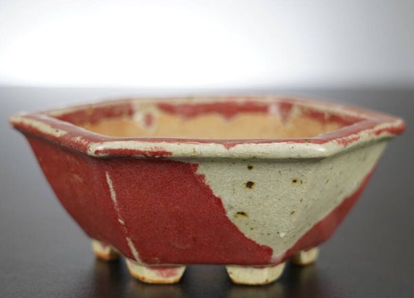 Bonsai Schale Koyo Tokoname Japan 12,5x12,5x5,5