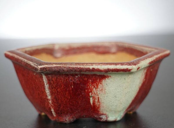 Bonsai Schale Koyo Tokoname Japan 11x11x4,5