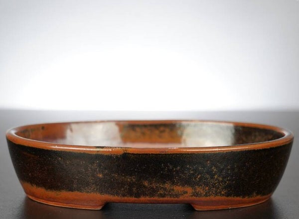 Bonsai Schale J-B Edition 18x15x4