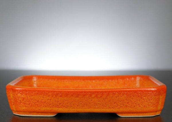 Bonsai Schale J-B Edition 18,5x14x3,5