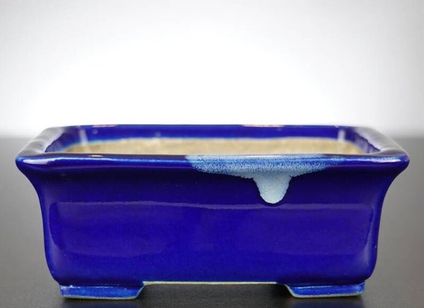 Bonsai Schale Satomi Terahata Tokoname Japan 16,5x14x6