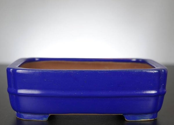 Bonsai Schale Shibakatsu Tokoname 21,5x16x7