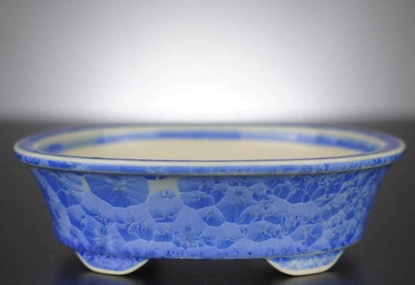 Bonsai Schale Heian Senzan Japan 18x14,5x5,5